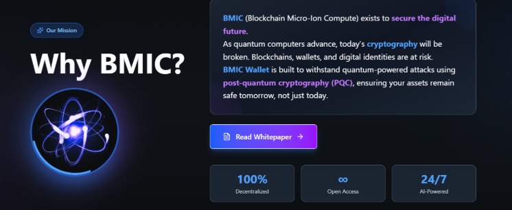 BMIC Project Illustration