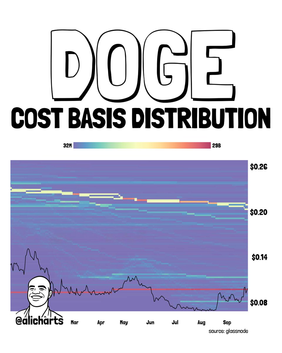 DOGE Cost Basis Distribution Analysis