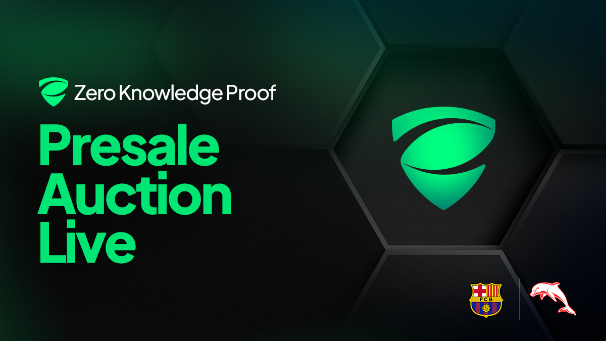 Zero Knowledge Proof presale auction interface