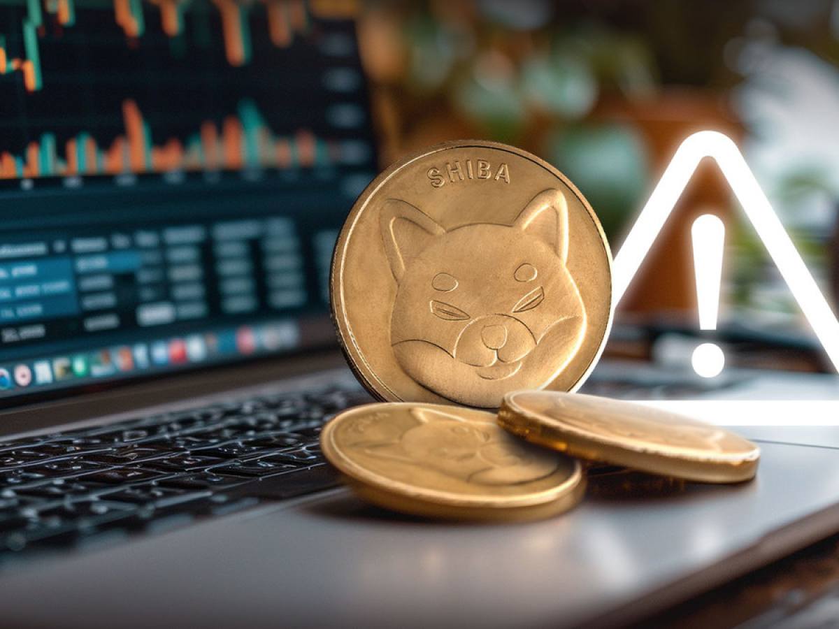Shiba Inu Issues Major Wallet Alert for All SHIB Holders