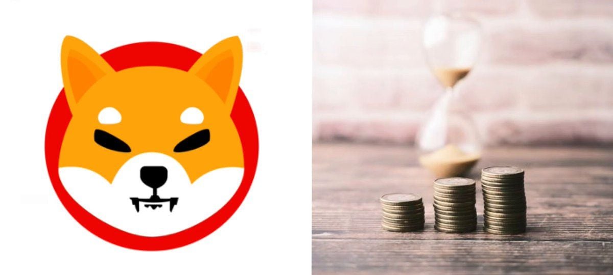 Shiba Inu Accumulation Surges After Oversold Signal