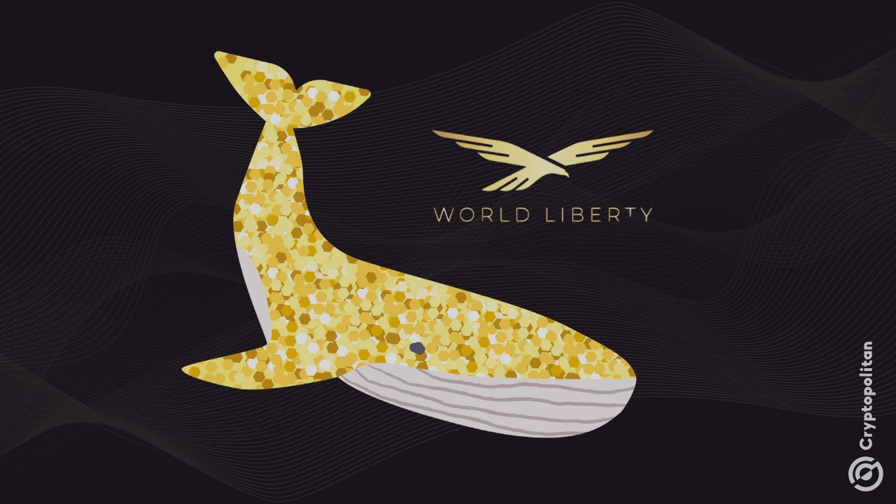 Whale buys into WLFI after rumors of a crypto-friendly executive order under Donald Trump’s presidency