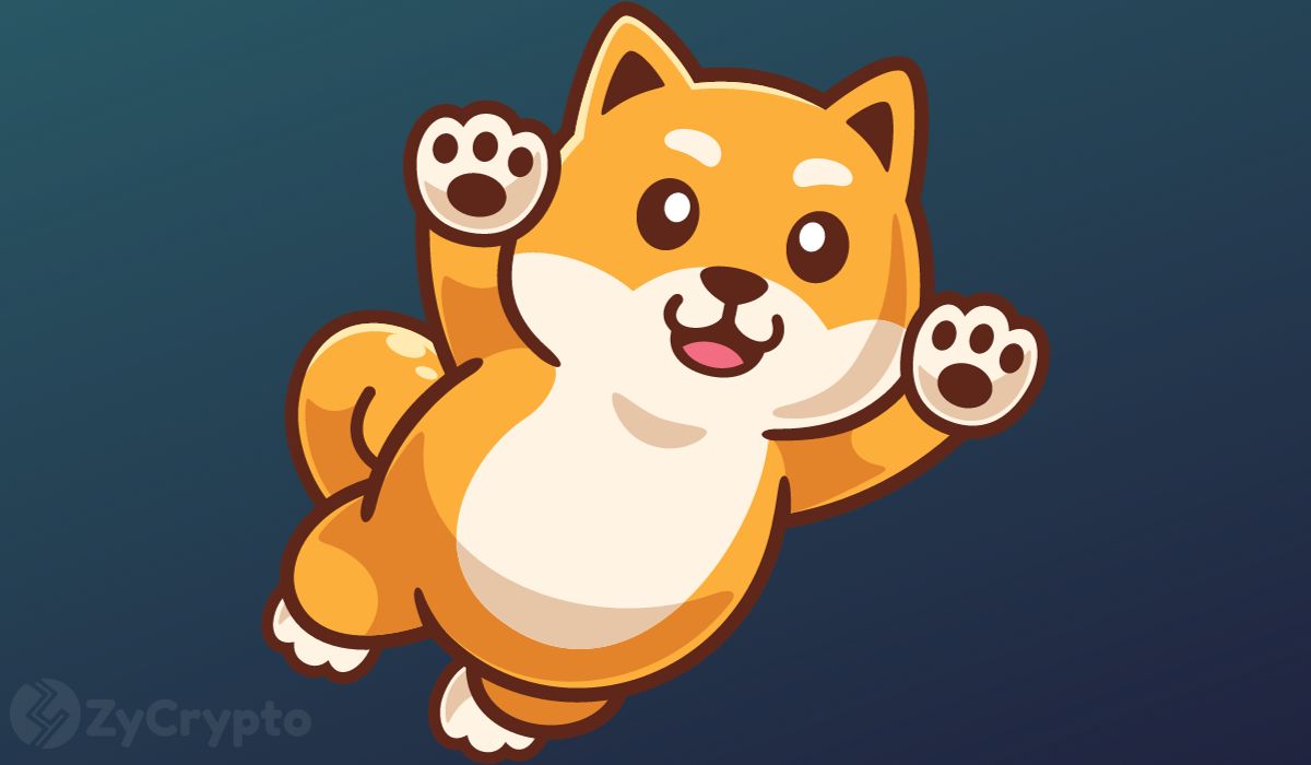 Shiba Inu Poised for Explosive 5x Rally — The Ultimate Crypto Comeback?