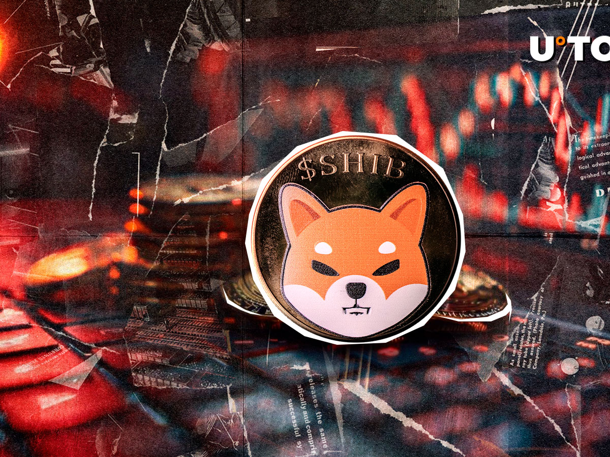SHIB Price in Red as Crucial Warning Issued to Shiba Inu Community