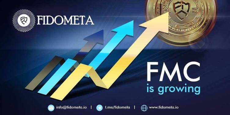 Fidometa - FMC Shows Constant Growth.