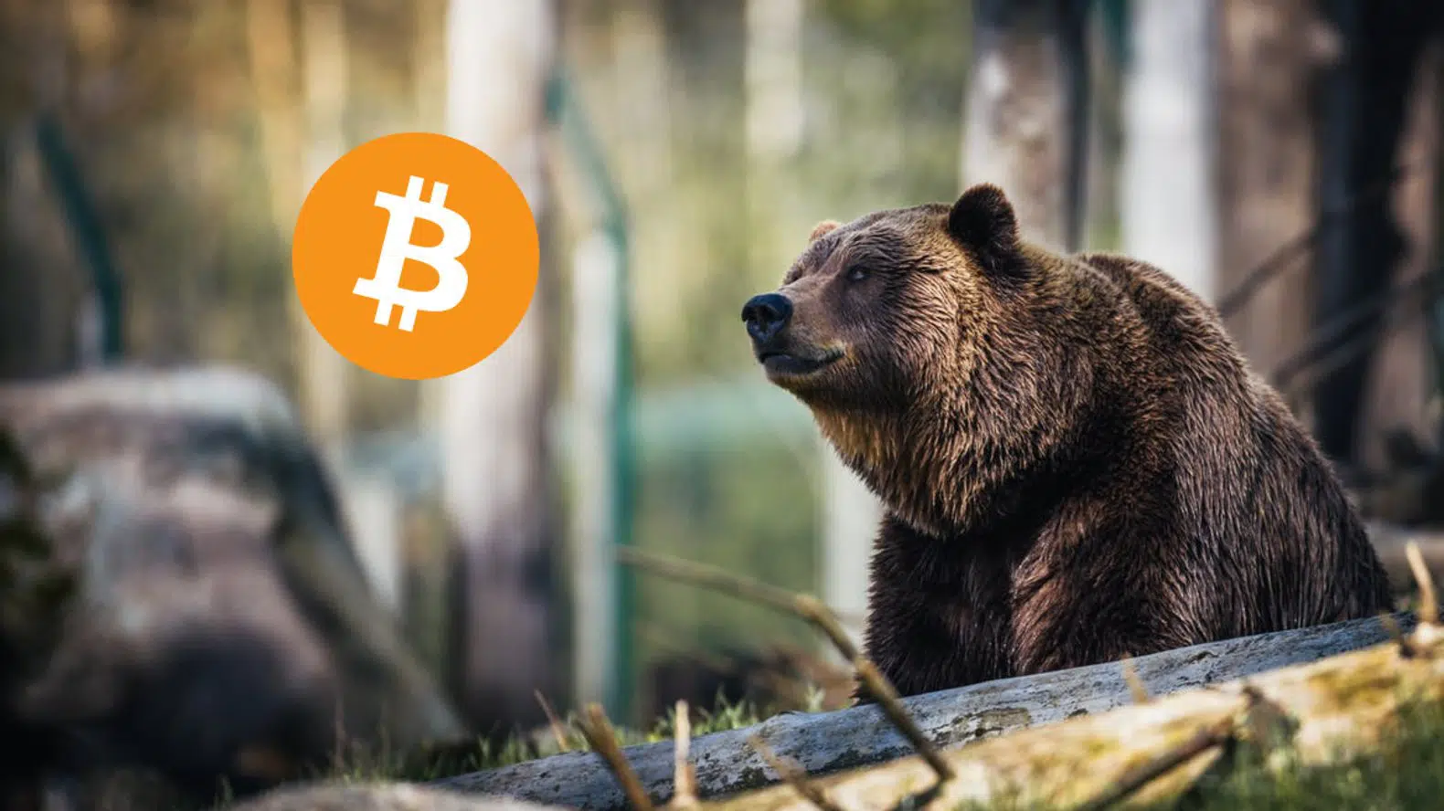 Bad News from CryptoQuant! "The Bear Market Has Started in Bitcoin, If It Continues, the Price Could Fall to These Levels!"
