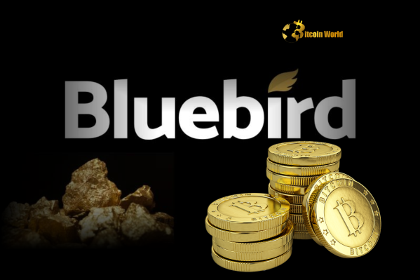 Bitcoin Treasury Strategy: Bluebird Mining Makes Bold Shift Using Gold Revenue