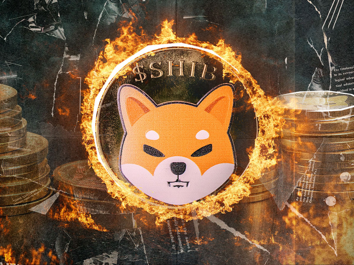 SHIB Burns Jump 3,484%, 537,187,730 SHIB Goes Up in Flames