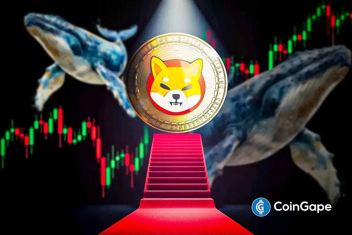 Analyst Predicts Shiba Inu Price Rally As Whale Transactions and Exchange Outflows Spike- Time to Buy?
