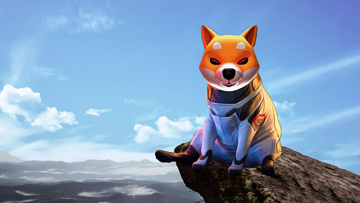 Shiba Inu Enthusiasts Reduce Token Supply