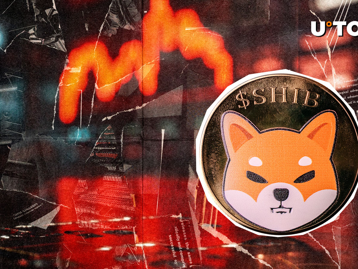 Shiba Inu (SHIB) Price Collapse Seems Inevitable: Can Bulls Do Something?