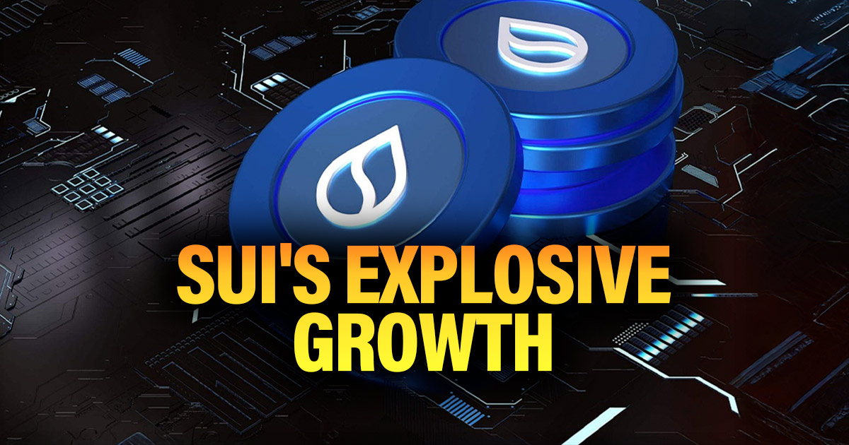 Sui Network Metrics; Here’s Why Everyone’s Watching Now