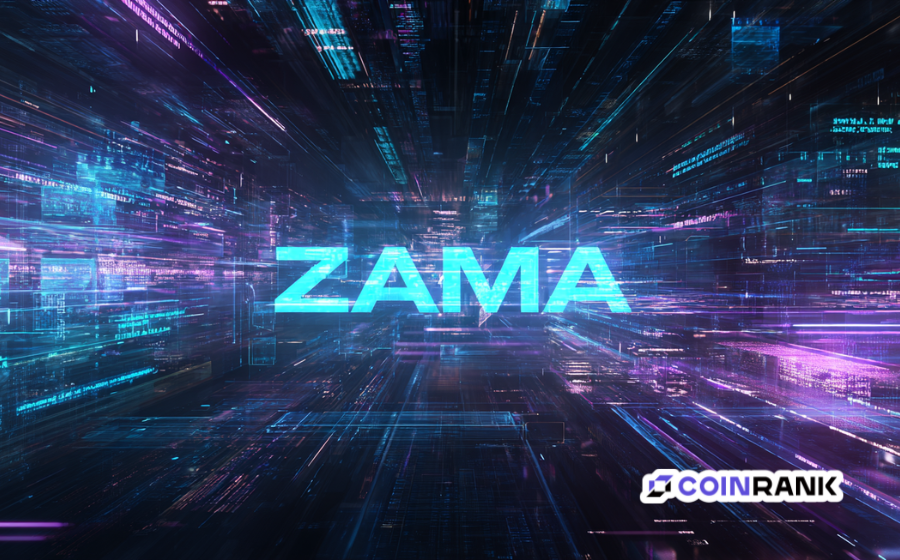 Zama public sale too complicated? A one-stop guide to understanding the sealed-bid Dutch auction.