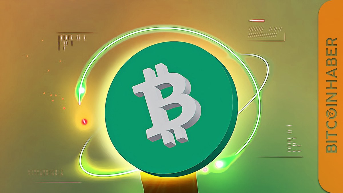 Bitcoin İçin Yeni Metrik: Cointime Economics ve Kripto Para Piyasasına Etkisi