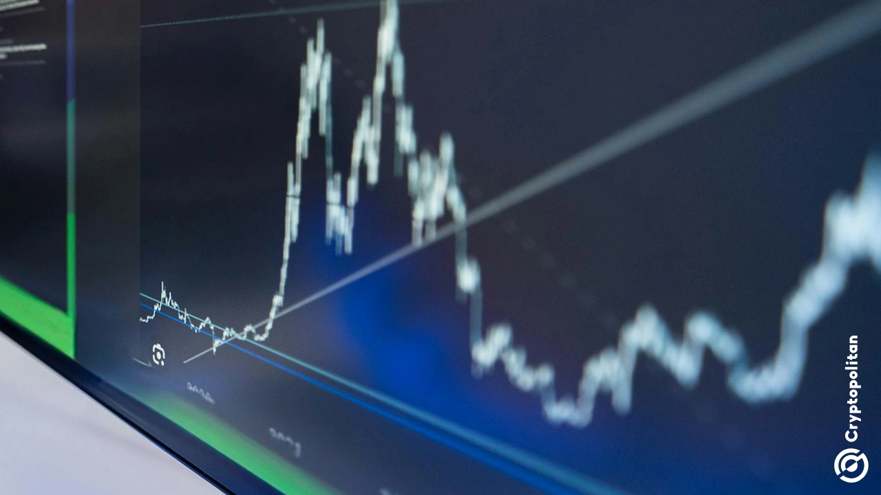 India's RRP Semiconductor jumped more than 55,000% in twenty months