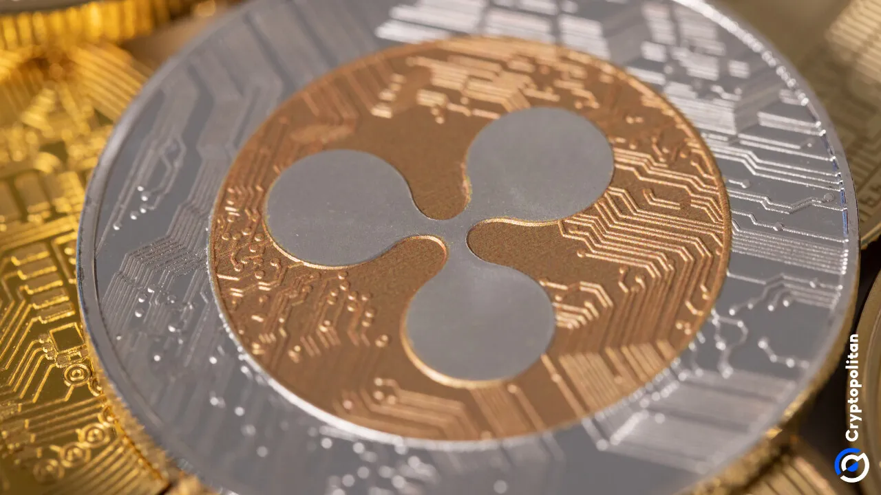 XRP whale and shark wallets fall 20.6% in eight weeks