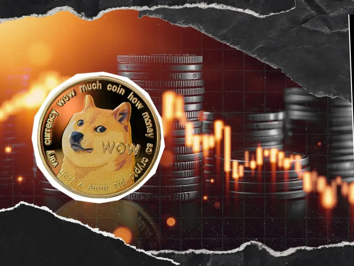 Wall Street Just Saw Its First Dogecoin Treasury, and It Collapsed 59%