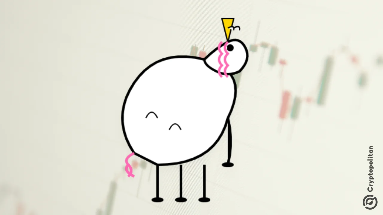 PIPPIN rallies to new price record as activity heats up on Raydium