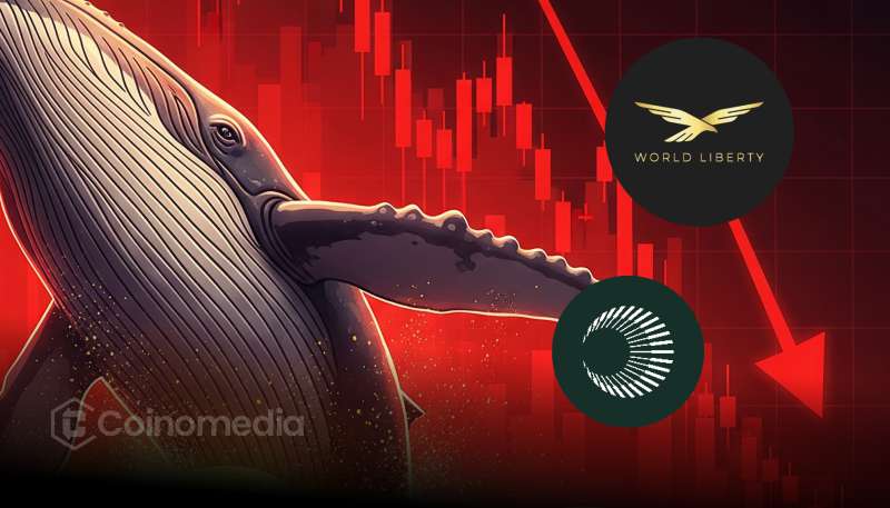 Whale Loses $1.4M Shorting XPL and WLFI