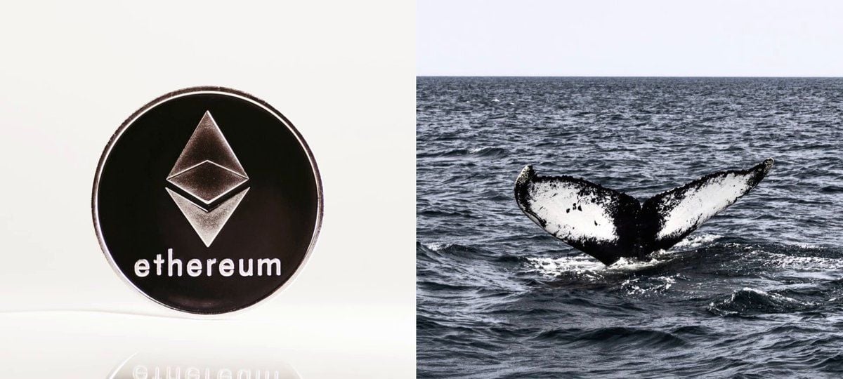 Mystery Whale Bets Big On Ethereum Dip
