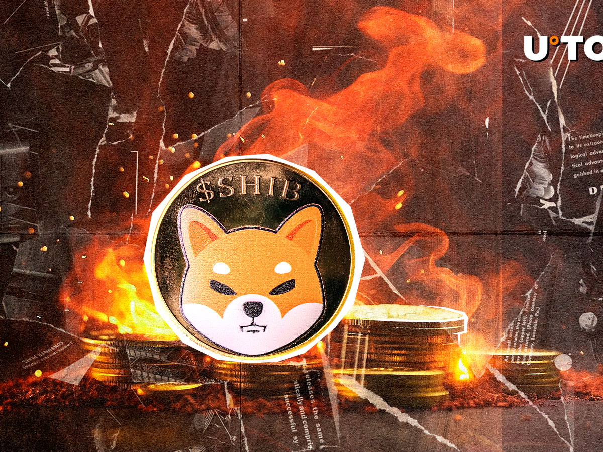 Shiba Inu Skyrockets 847% in Burn Rate as 31,010,900 SHIB Vanishes