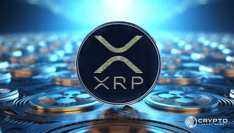 XRP Surges 14% as Large Holders Accumulate, Address Activity Hits New Highs
