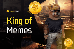 Top Cryptos for Biggest ROI: THORChain, Sui, and Pomerdoge