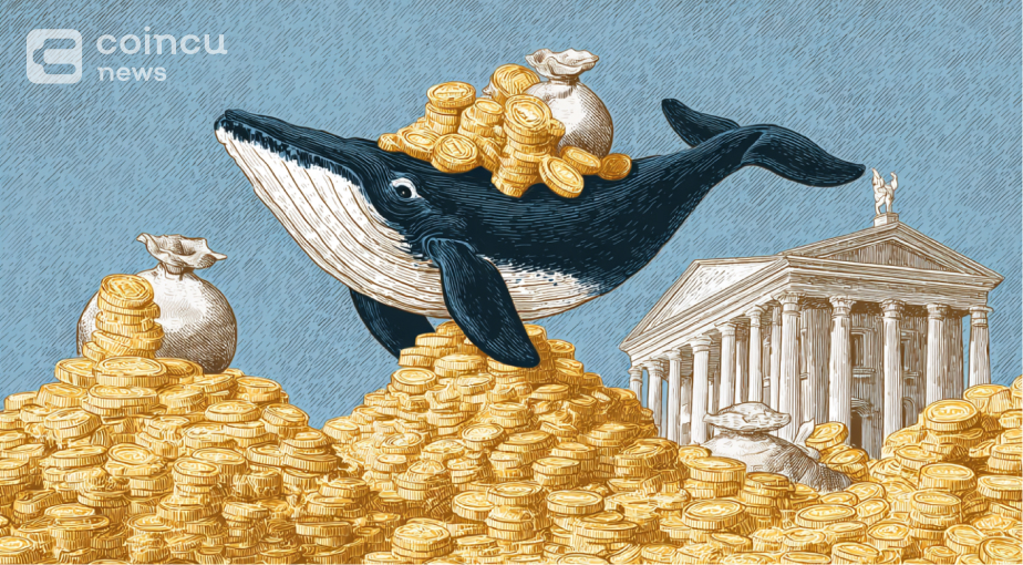 Whale Pulls $4.4M DOGE From Binance, Now Holds $11.7M