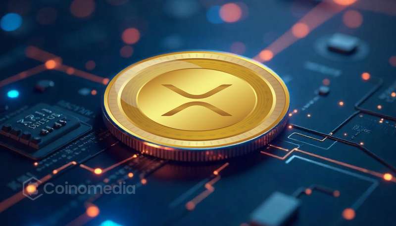 XRP Eyes $4.80 as Key $2.47 Support Holds Strong