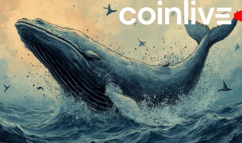 Massive Dogecoin Whale Transfers Signal Potential Rally