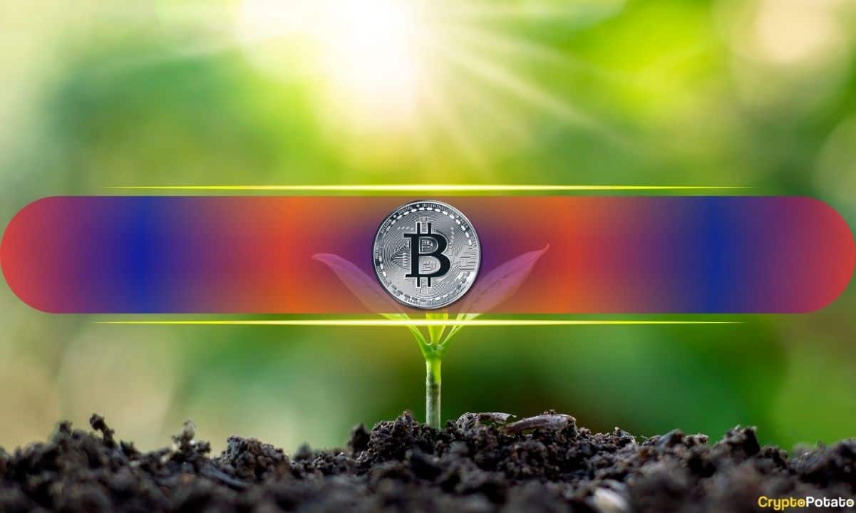 From Genesis Block to Wall Street: Analyzing 15 Years of Bitcoin History