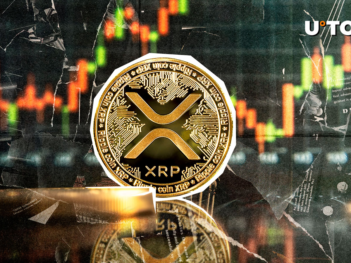 XRP Back at Growth as Transaction Count Exceeds 2 Million