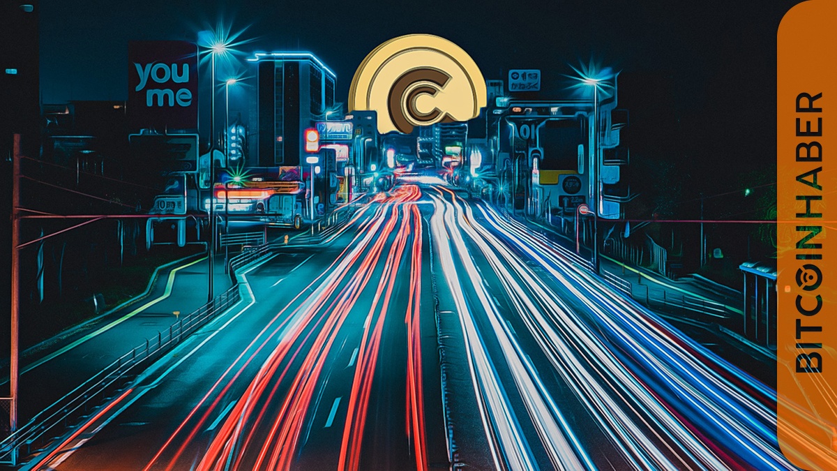 Bir Yatırımcı Bitcoin’in Sert Düşüşünde 55 Milyon Dolar Kaybetti