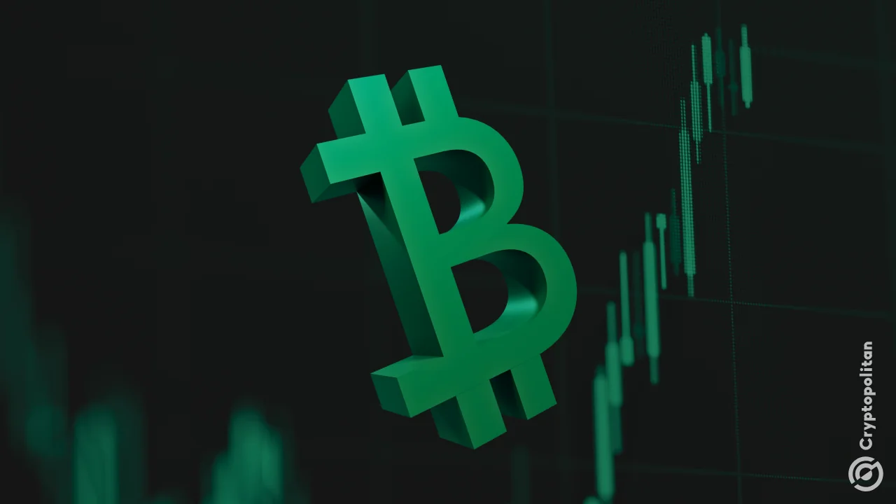 Crypto Markets Bounce From Key Support Levels as Bitcoin Reclaims $93K — Relief Rally or Another Bull Trap?