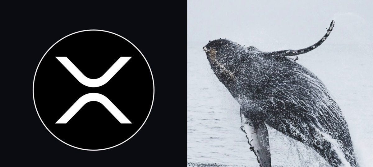 XRP Whale Accumulation Surges As Price Jumps 9%