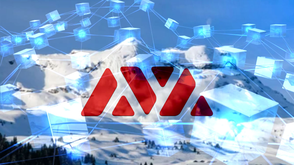 Innovative Blockchains Pave New Paths for Avalanche