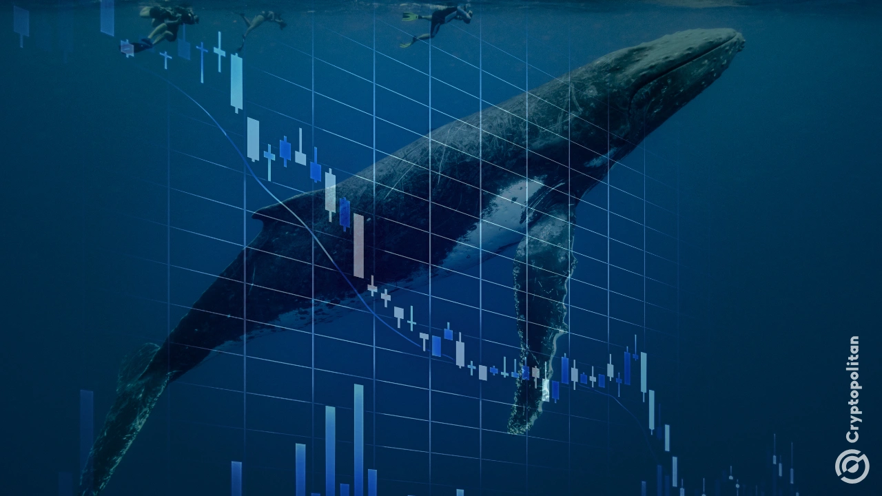 Bitcoin whale who shorted October crash reemerges with bigger long position