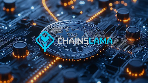 ChainsLama Helps its Clients Make the Right Decisions