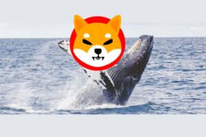 Only Five Whales Hold 565 Trillion SHIB. Here’s the Significance