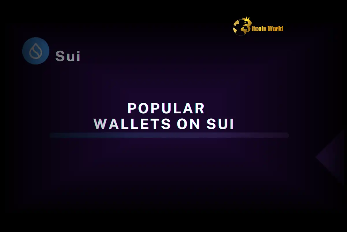 Unlock Seamless dApp Access: Dynamic Wallet Now Supports Sui Blockchain