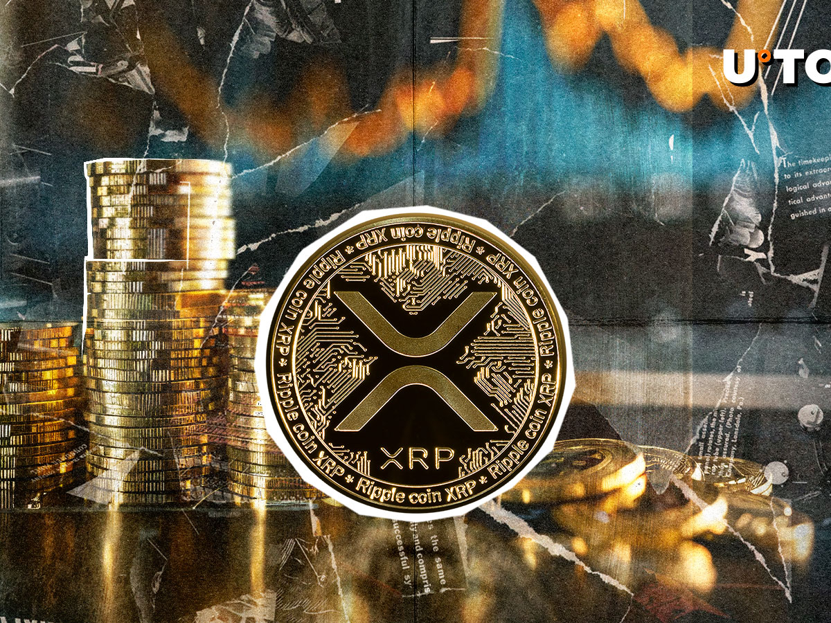 XRP Loses $3: 3 Price Levels to Watch Next