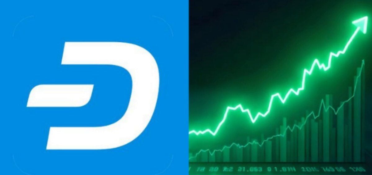 Dash tops the daily gainers in the top 100 with an 18% move