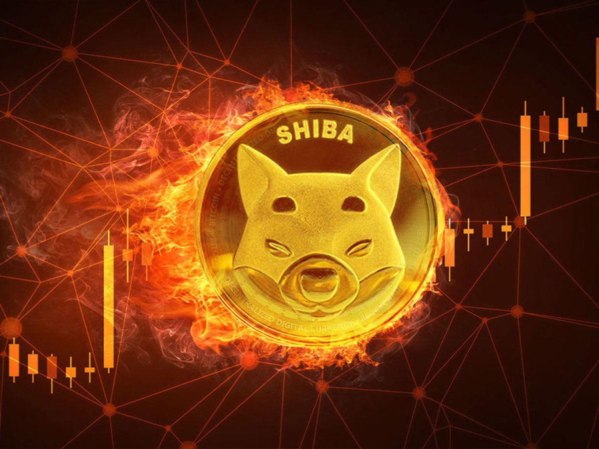 Millions of Shiba Inu (SHIB) Burned in Week as Burn Rate Climbs 281%