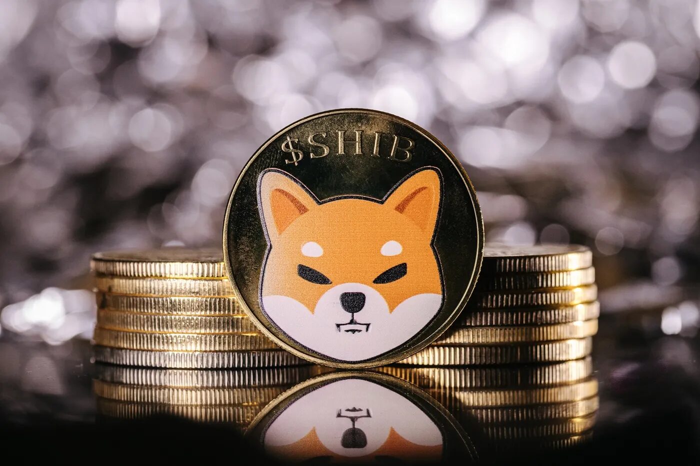 Shiba Inu Holders Push for Solana Bridge: A Major Partnership in the Works?