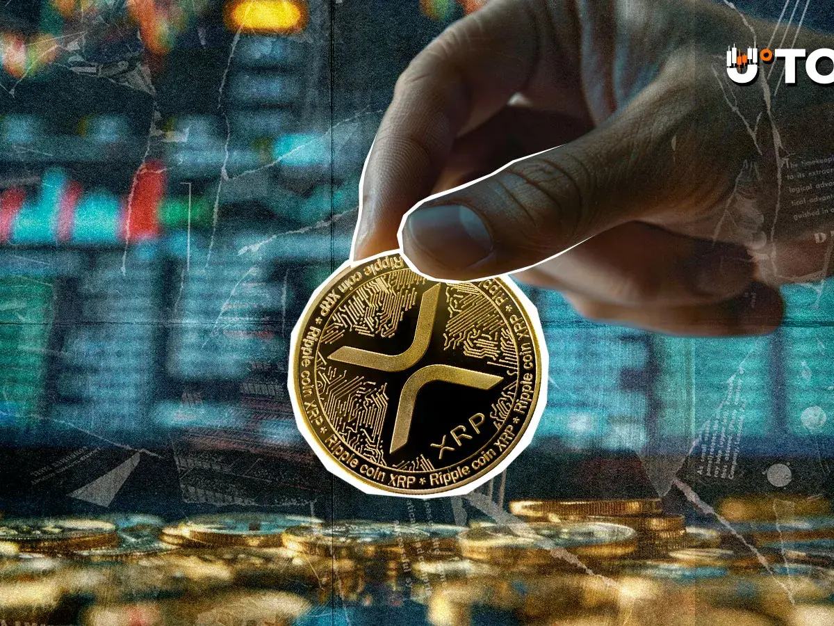 CEO of XRP? 'World’s Highest IQ' Figure Turns It into a Joke