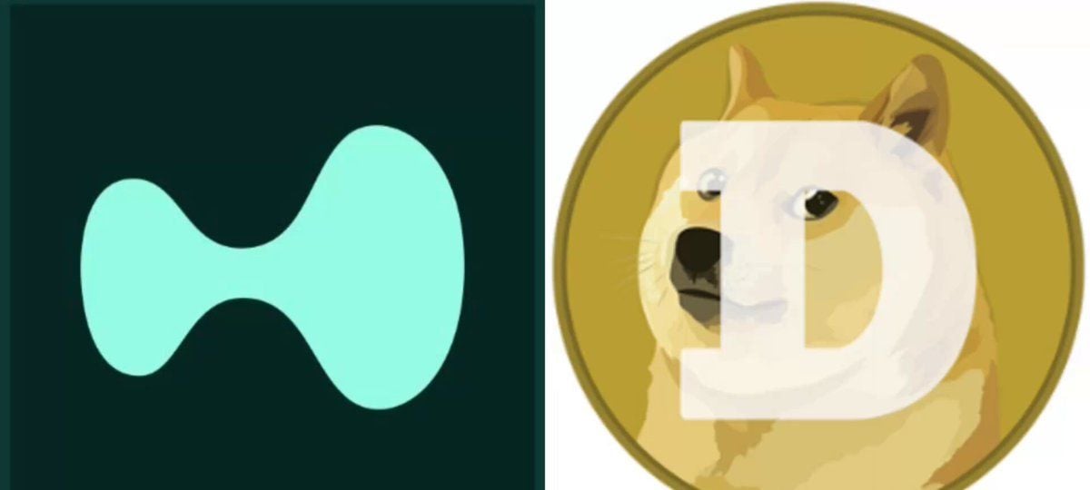 HYPE Looks Set to Surpass DOGE