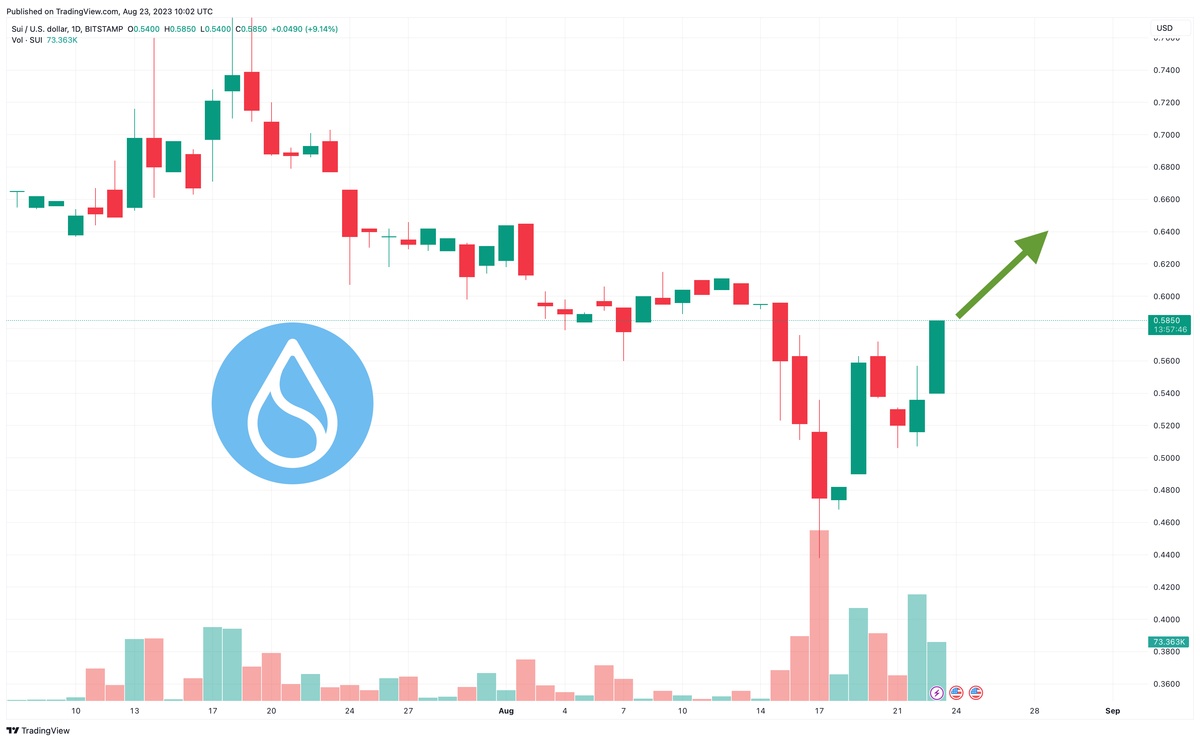 Sui Price Prediction as SUI Becomes Best Performer in the Market – What's Going On?