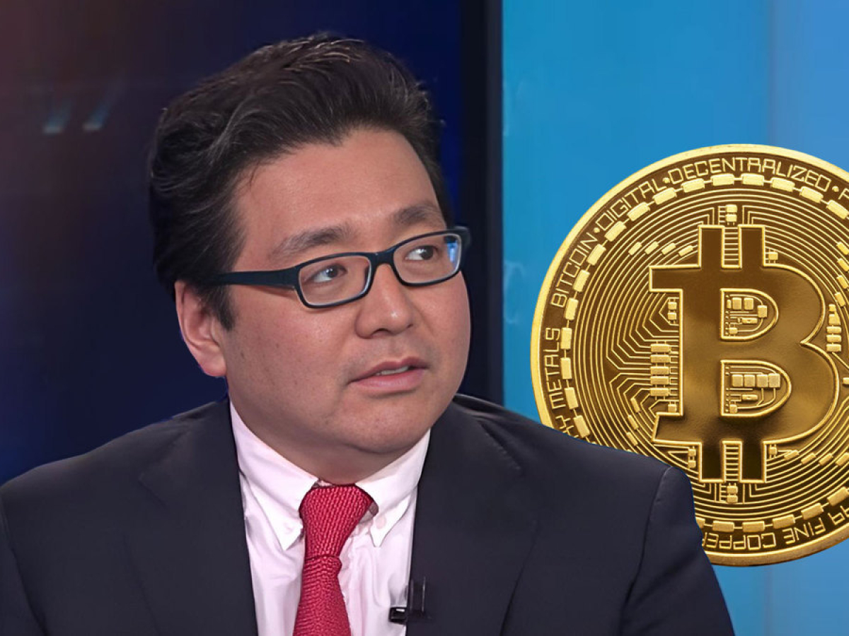 Bitcoin Predicted to Outperform Gold in 2025 by Tom Lee