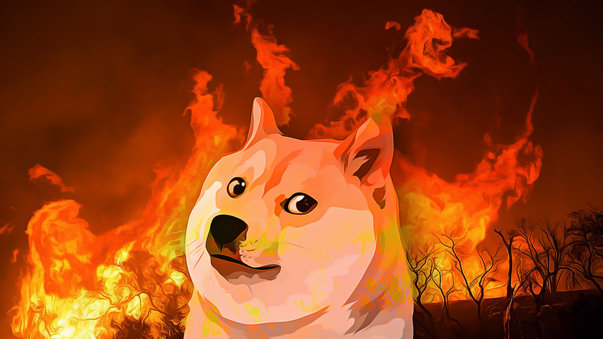 Dogecoin Surges as Enthusiasts Scrutinize