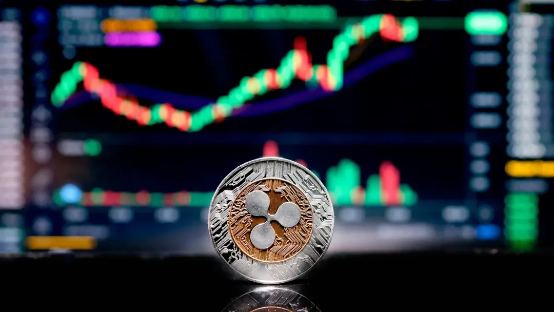 Smart Money Moves: XRP Whales Step In as Retail Backs Off